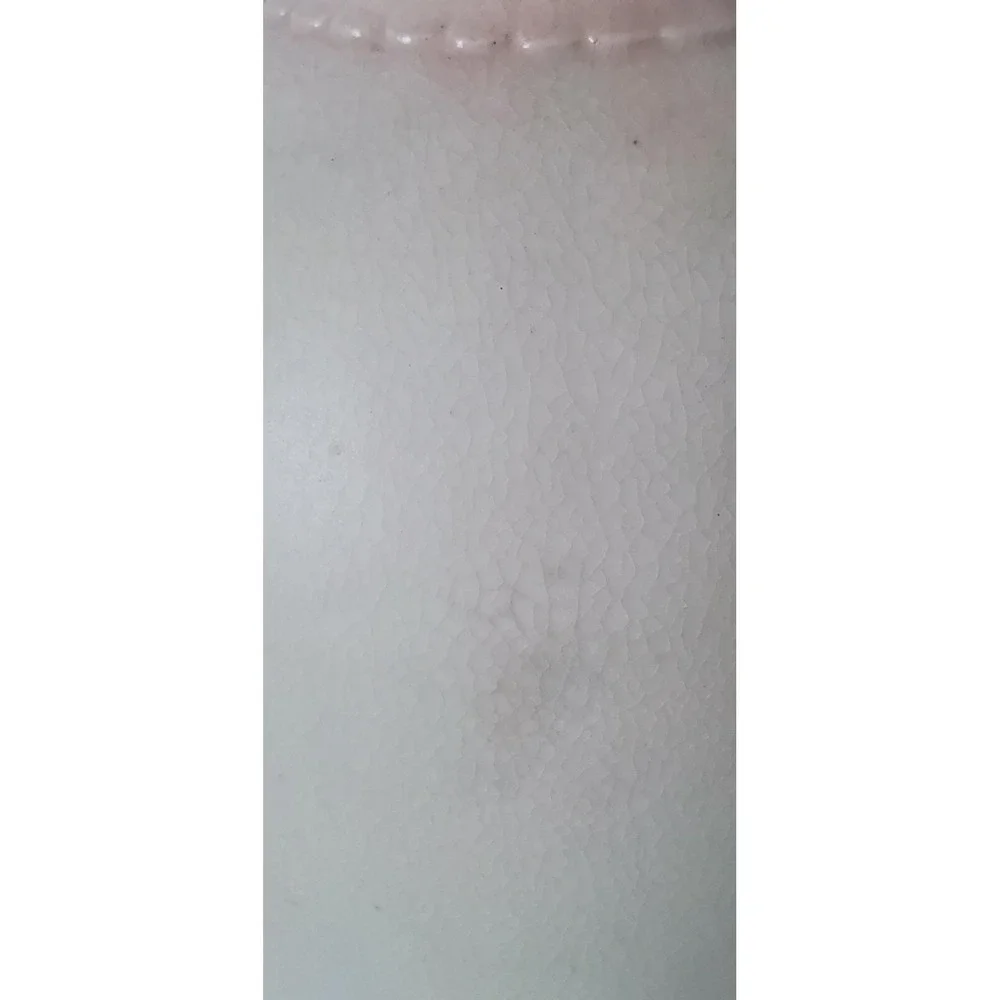 Antique Royal Bonn Floral Vase with Gilding Ceramic 9.5